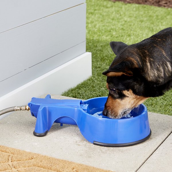 THE EASY-CLEAN WATER BOWL Dog, Cat & Livestock Auto-Fill Water Bowl with  Hose, 32-oz, 10-ft Hose 